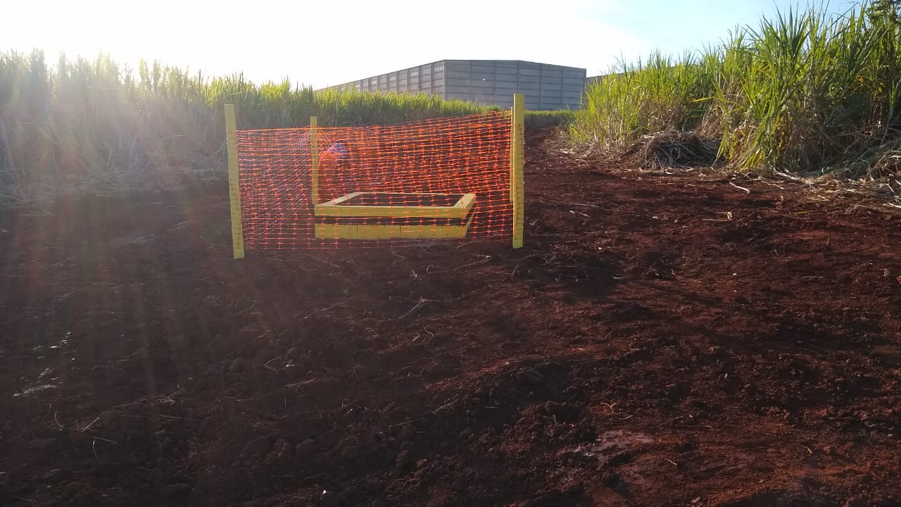 Amyris — Unidade Barra Bonita — foto 7