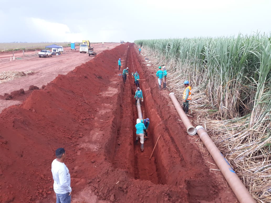 Bioenergética Aroeira — foto 11
