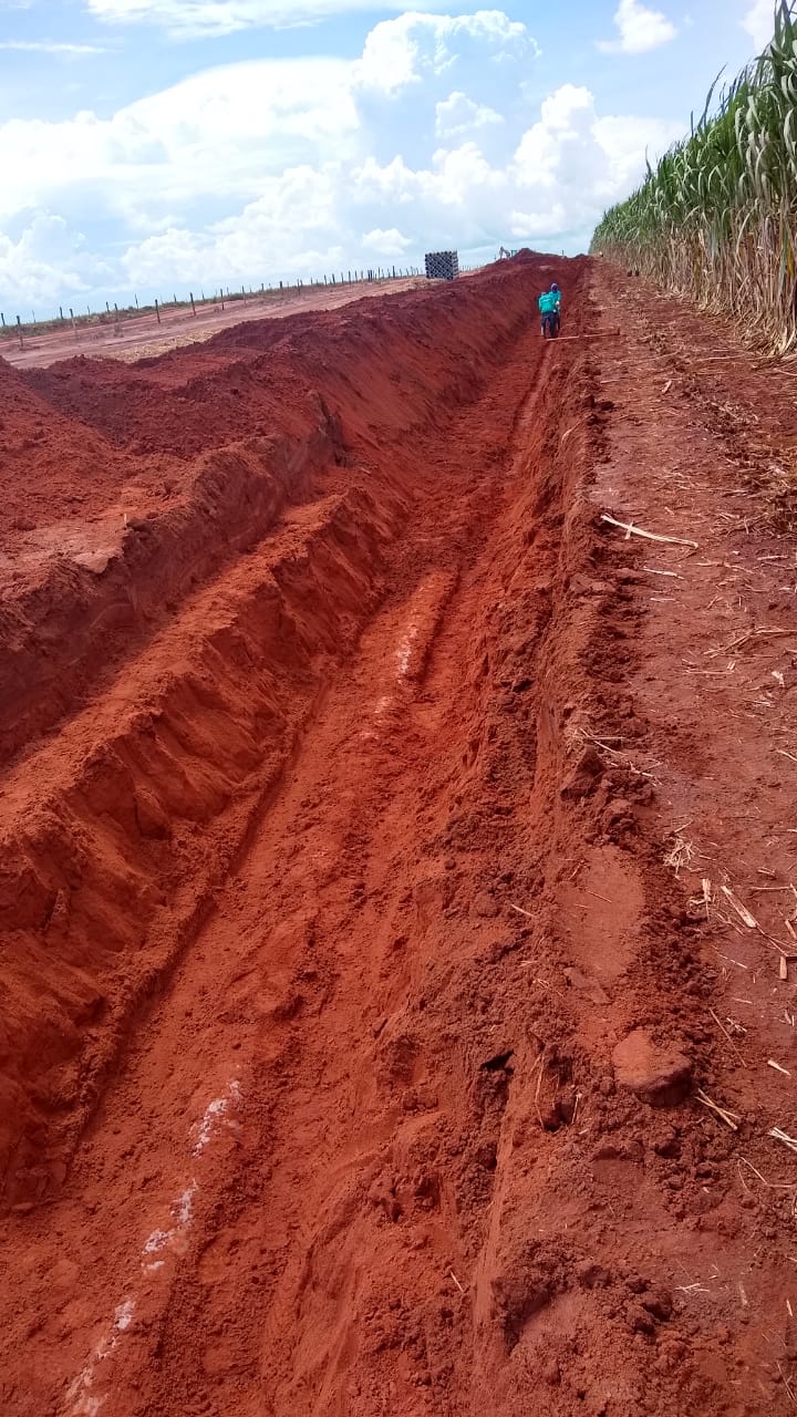 Bioenergética Aroeira — foto 18