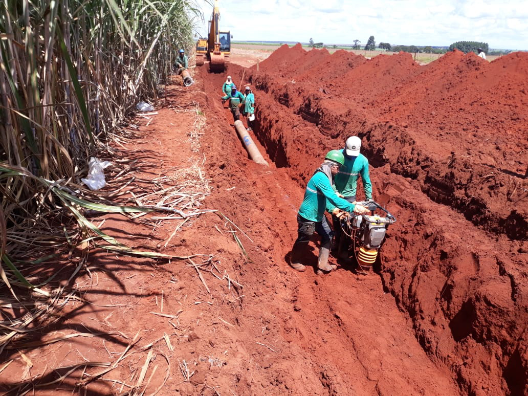 Bioenergética Aroeira — foto 19