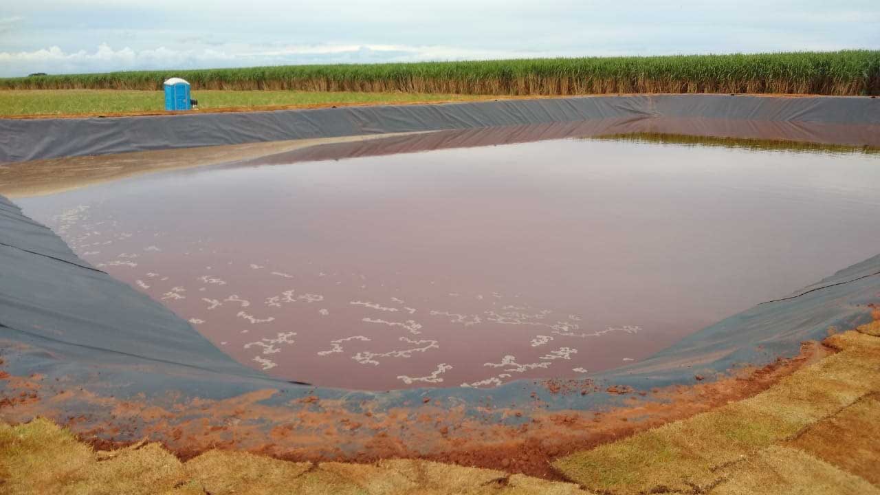 Bioenergética Aroeira