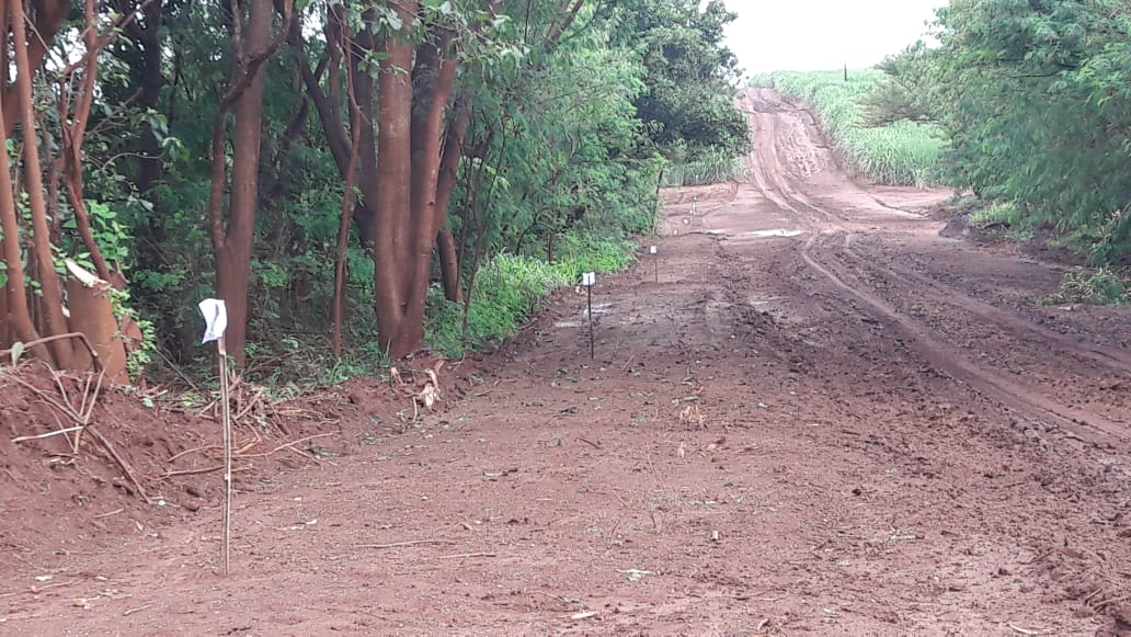 Biosev — Unidade MB — foto 2