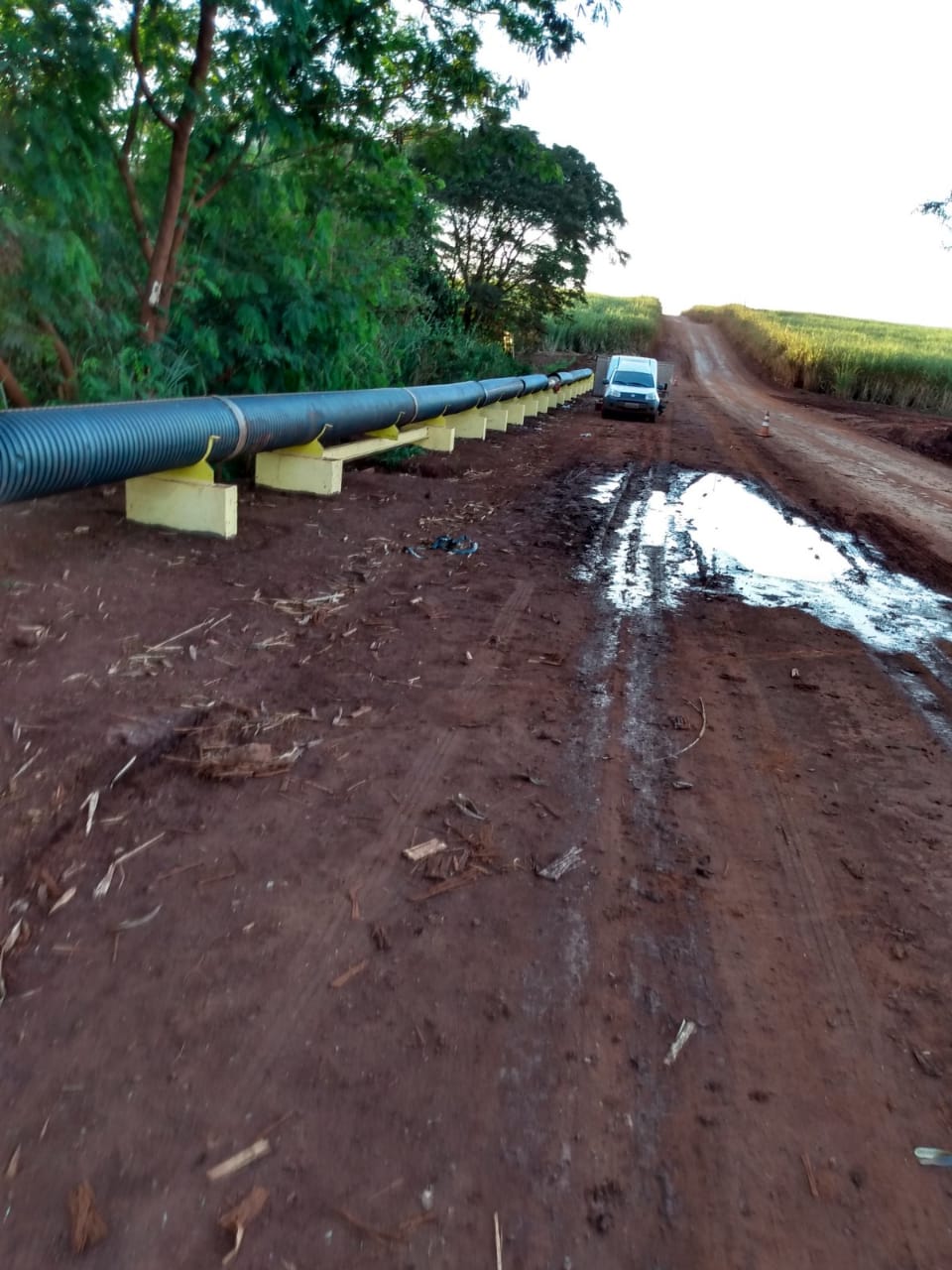 Biosev — Unidade MB — foto 22