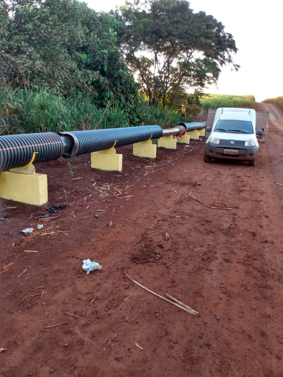 Biosev — Unidade MB — foto 23